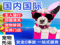 太原航空邮寄国际宠物托运 【国